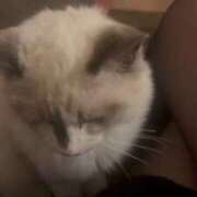 ヒメ日記 2025/10/30 20:05 投稿 きらら One More 奥様 鶯谷店