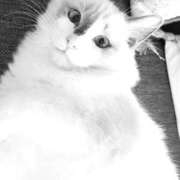 ヒメ日記 2025/11/09 23:25 投稿 きらら One More 奥様 鶯谷店