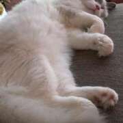 ヒメ日記 2025/11/23 18:17 投稿 きらら One More 奥様 鶯谷店