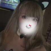 きらら 🐈‍⬛ One More 奥様 鶯谷店