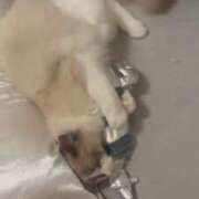 ヒメ日記 2026/04/04 21:34 投稿 きらら One More 奥様 鶯谷店