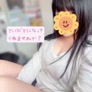 ヒメ日記 2025/01/10 09:28 投稿 あこ One More 奥様 鶯谷店