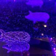 ヒメ日記 2025/09/23 20:15 投稿 もあ One More 奥様 鶯谷店