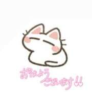 ヒメ日記 2025/01/27 09:02 投稿 りりか（奥様） 姫マーケット