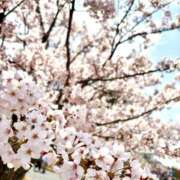 ヒメ日記 2025/04/21 10:06 投稿 りりか（奥様） 姫マーケット