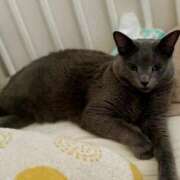 ヒメ日記 2025/06/15 09:05 投稿 りりか（奥様） 姫マーケット