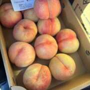 ヒメ日記 2025/08/12 10:15 投稿 りりか（奥様） 姫マーケット