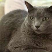 ヒメ日記 2025/09/20 15:05 投稿 りりか（奥様） 姫マーケット