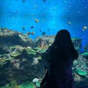 ヒメ日記 2025/02/05 21:03 投稿 さら 渋谷くいーんず