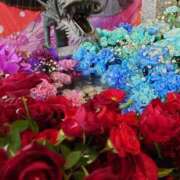 ヒメ日記 2024/12/14 18:39 投稿 大川　ちあき しこたま奥様 札幌店