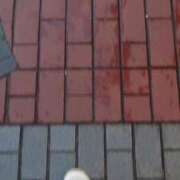 ヒメ日記 2025/02/25 22:25 投稿 大川　ちあき しこたま奥様 札幌店