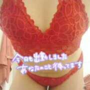 ヒメ日記 2025/03/31 10:55 投稿 大川　ちあき しこたま奥様 札幌店