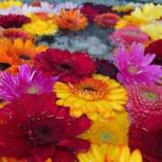 ヒメ日記 2025/04/01 16:05 投稿 大川　ちあき しこたま奥様 札幌店