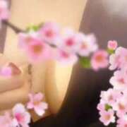 ヒメ日記 2025/05/05 13:55 投稿 大川　ちあき しこたま奥様 札幌店