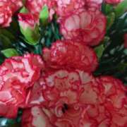 ヒメ日記 2025/05/10 22:19 投稿 大川　ちあき しこたま奥様 札幌店