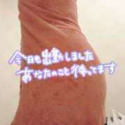 ヒメ日記 2025/06/20 10:28 投稿 大川　ちあき しこたま奥様 札幌店