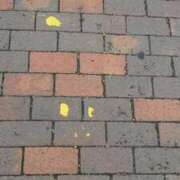 ヒメ日記 2025/09/17 09:55 投稿 大川　ちあき しこたま奥様 札幌店