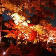 ヒメ日記 2025/10/30 23:15 投稿 大川　ちあき しこたま奥様 札幌店