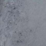 ヒメ日記 2026/01/10 11:45 投稿 大川　ちあき しこたま奥様 札幌店