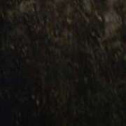 ヒメ日記 2026/01/10 16:57 投稿 大川　ちあき しこたま奥様 札幌店