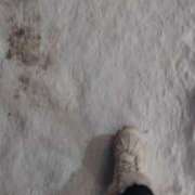 ヒメ日記 2026/01/21 20:16 投稿 大川　ちあき しこたま奥様 札幌店