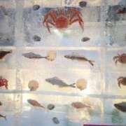 ヒメ日記 2026/02/06 19:15 投稿 大川　ちあき しこたま奥様 札幌店