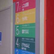 ヒメ日記 2026/06/12 10:46 投稿 大川　ちあき しこたま奥様 札幌店