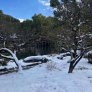 ヒメ日記 2025/01/11 15:00 投稿 さゆき 全裸SUPERプレミアム