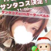 ヒメ日記 2024/12/17 09:55 投稿 いの あとりえ(ATELIER)