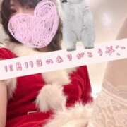 ヒメ日記 2025/01/02 02:52 投稿 いの あとりえ(ATELIER)