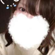 ヒメ日記 2025/01/17 07:51 投稿 いの あとりえ(ATELIER)