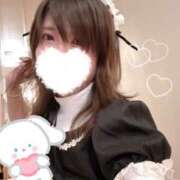 ヒメ日記 2025/02/24 08:45 投稿 いの あとりえ(ATELIER)