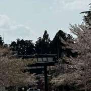 ヒメ日記 2025/04/30 08:45 投稿 いの あとりえ(ATELIER)