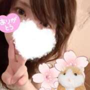 ヒメ日記 2025/05/06 08:45 投稿 いの あとりえ(ATELIER)