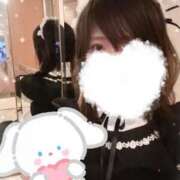 ヒメ日記 2025/05/11 08:45 投稿 いの あとりえ(ATELIER)