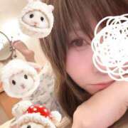 ヒメ日記 2025/06/20 08:45 投稿 いの あとりえ(ATELIER)