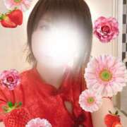 ヒメ日記 2025/07/06 08:45 投稿 いの あとりえ(ATELIER)