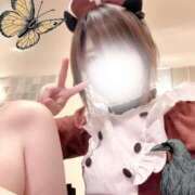 ヒメ日記 2025/12/11 10:45 投稿 いの あとりえ(ATELIER)