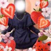 ヒメ日記 2026/02/27 10:31 投稿 いの あとりえ(ATELIER)