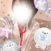 ヒメ日記 2026/03/29 09:45 投稿 いの あとりえ(ATELIER)