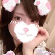 ヒメ日記 2026/10/13 08:45 投稿 いの あとりえ(ATELIER)