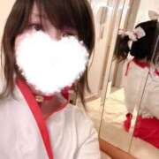 ヒメ日記 2026/10/16 13:02 投稿 いの あとりえ(ATELIER)