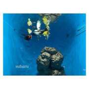 ヒメ日記 2025/01/22 10:33 投稿 すばる Hip's千葉駅前店