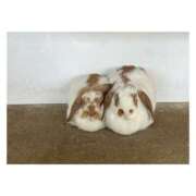 ヒメ日記 2025/01/28 23:13 投稿 すばる Hip's千葉駅前店