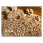 ヒメ日記 2025/02/10 16:23 投稿 すばる Hip's千葉駅前店