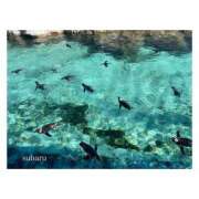 すばる ☀️ Hip's千葉駅前店