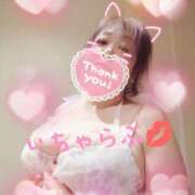 ヒメ日記 2025/01/15 00:25 投稿 しずく 水戸デブ専肉だんご＆人妻浮気現場