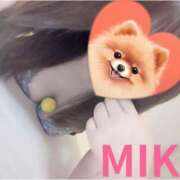 ヒメ日記 2024/12/10 12:16 投稿 美波乃 みく 30代40代50代と遊ぶなら博多人妻専科24時