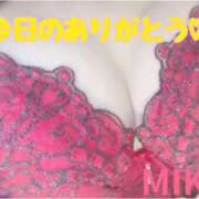 ヒメ日記 2025/07/28 00:47 投稿 美波乃 みく 30代40代50代と遊ぶなら博多人妻専科24時