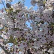 美波乃 みく 遅くなりましたが💦 30代40代50代と遊ぶなら博多人妻専科24時